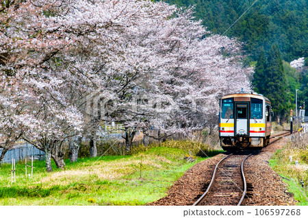 櫻花盛開的紀信線月田站 櫻花盛開的紀信線月田站 106597268
