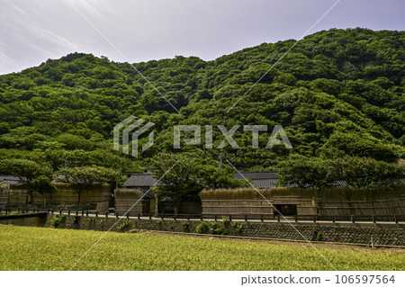 Summer scenery of Magaki no Sato Kamiosawa 106597564