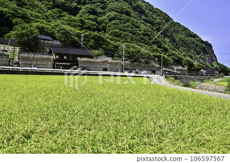 Summer scenery of Magaki no Sato Kamiosawa Summer scenery of Magaki no Sato Kamiosawa 106597567