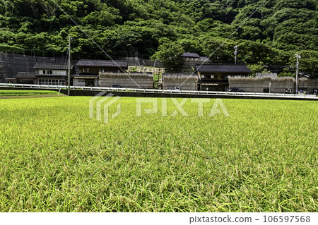 魔法之裡上大澤的夏日風景 魔法之裡上大澤的夏日風景 106597568