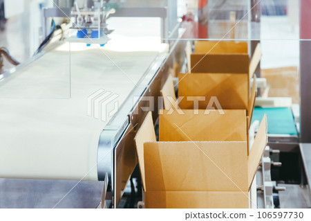 cardboard box of product packaging is moving on conveyor belt of automatic packing machine in the manufacturing factory ready for distribution to market. logistic manufacturing and industrial concept. 106597730