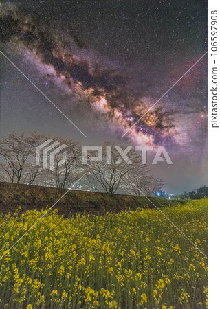 明星照片 明星照片 106597908