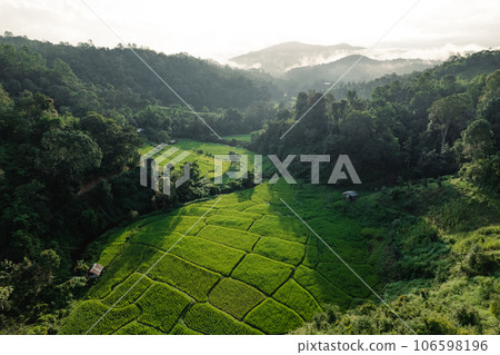 Rice terraces in the forest at a rural village Rice terraces in the forest at a rural village 106598196