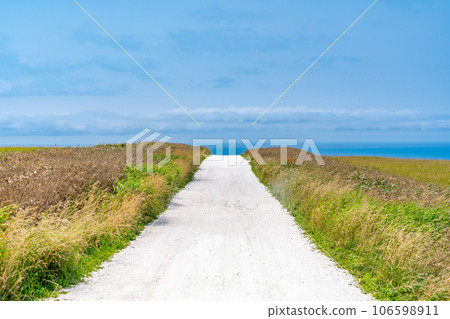 White road Cape Soya White road Cape Soya 106598911