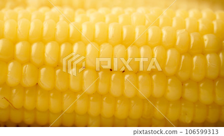 A close-up of corn 106599313