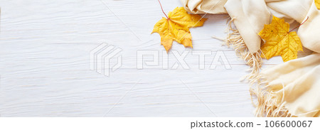 autumn leaves with a scarf on a wooden background with copy space. banner autumn leaves with a scarf on a wooden background with copy space. banner 106600067