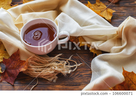 autumn leaves with a cup of tea or coffee next to a scarf on a wooden background with copy space 106600071