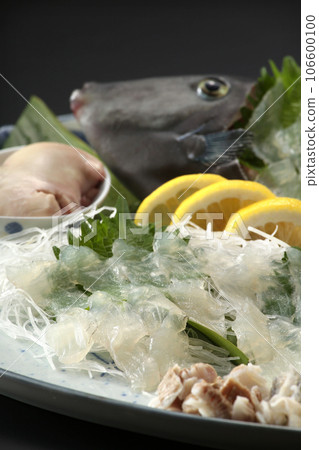 Image of live filefish, delicious sashimi, filefish sashimi, white fish sashimi lively Image of live filefish, delicious sashimi, filefish sashimi, white fish sashimi lively 106600100