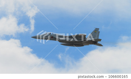 Air Self-Defense Force 306th Squadron F-15J Eagle above the clouds Air Self-Defense Force 306th Squadron F-15J Eagle above the clouds 106600165