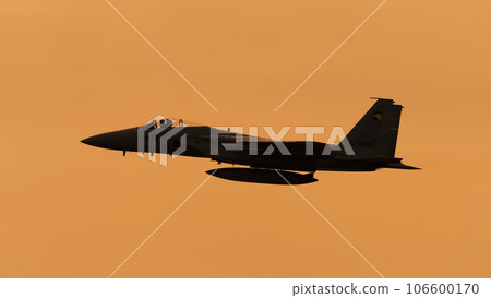 JASDF 306th Squadron F-15J Eagle at dusk 106600170