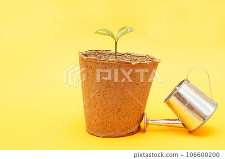 Watering can near a seedling of a green plant in the soil isolated on a yellow background 106600200