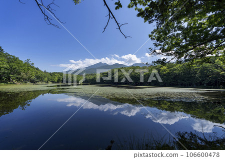 Landscape of Shiretoko 106600478