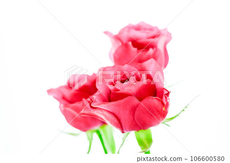 玫瑰紅葡萄酒 玫瑰紅葡萄酒 106600580