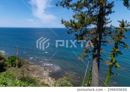 Scenery of Roadside Station Senmaida Pocket Park 106600688