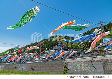 初夏的奧能登大谷川鯉魚旗渡河 初夏的奧能登大谷川鯉魚旗渡河 106600695