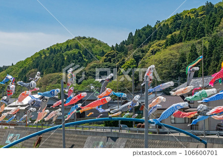 Oya River Carp Streamer Crossing Oku-Noto in early summer 106600701