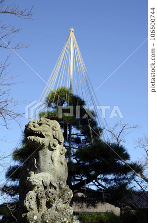 guardian dog and pine 106600744