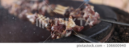 Meat skewers in barbecue picnic on open fire Meat skewers in barbecue picnic on open fire 106600940