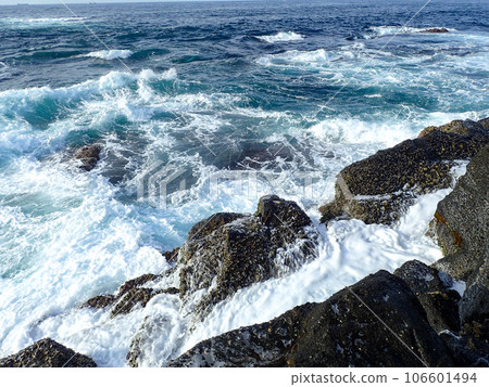 Rough shore 106601494