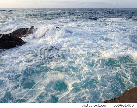 黑暗薩拉希 黑暗薩拉希 106601499