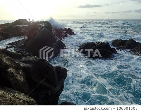 在崎嶇的海岸上瞄準黑鰭鱸 106601505