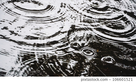 Ripples in the puddle Ripples in the puddle 106601521