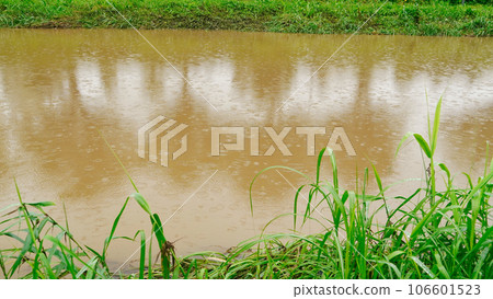 Raining on the stream Raining on the stream 106601523