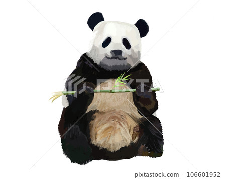 Panda with bamboo 106601952