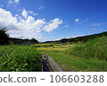 Summer countryside 106603288