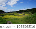 Summer countryside 106603510