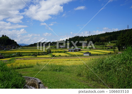 Summer countryside 106603510