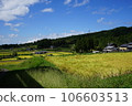 Summer countryside 106603513