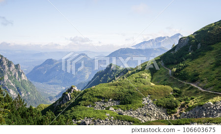 View on beautiful green alpine landscape with trail during sunny day, Poland, Europe View on beautiful green alpine landscape with trail during sunny day, Poland, Europe 106603675