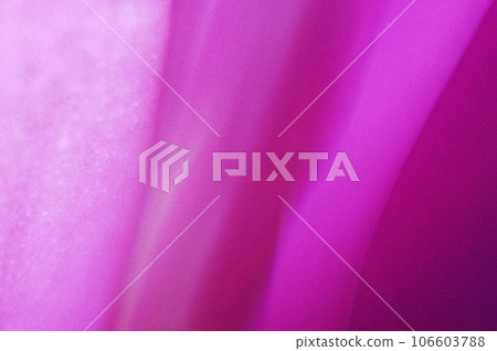 colorful flower background, abstract with waves, soft background 106603788