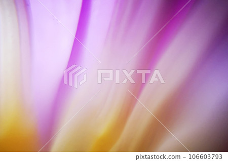 colorful flower background, abstract with waves, soft background 106603793
