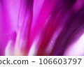 colorful flower background, abstract with waves, soft background 106603797