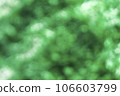 Green abstract bokeh background - Bokeh Night Light 106603799
