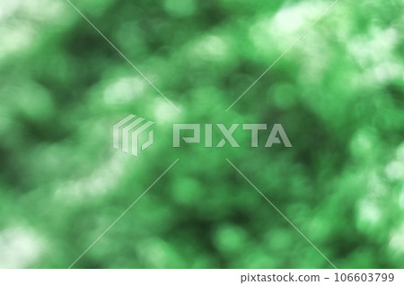 Green abstract bokeh background - Bokeh Night Light 106603799
