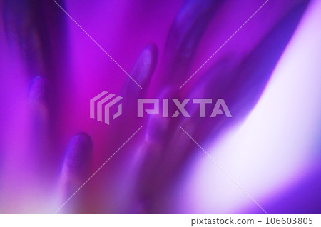 colorful flower background, abstract with waves, soft background 106603805