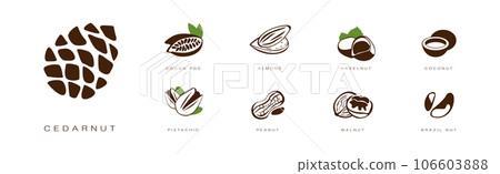 Seed and Nuts Brown Flat Icon with Name and Inscription Vector Set Seed and Nuts Brown Flat Icon with Name and Inscription Vector Set 106603888