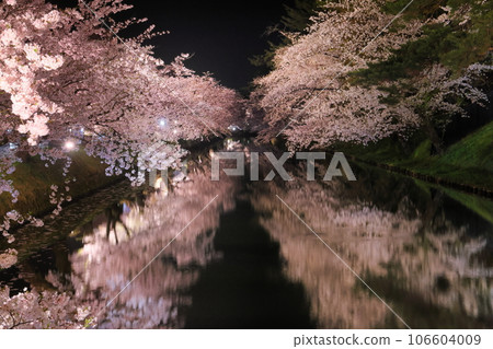 青森縣弘前市下白金町弘前公園,弘前城外護城河周圍的染井吉野櫻花樹和水面上的水鏡 青森縣弘前市下白金町弘前公園,弘前城外護城河周圍的染井吉野櫻花樹和水面上的水鏡 106604009