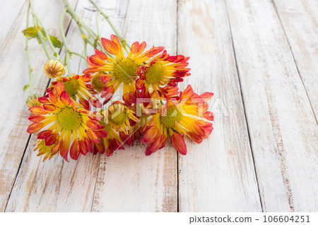 flowers on white wood table flowers on white wood table 106604251