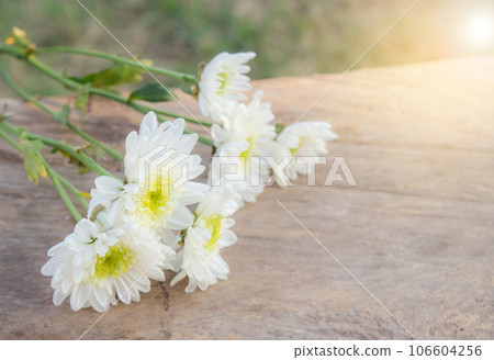 flowers on white wood table flowers on white wood table 106604256