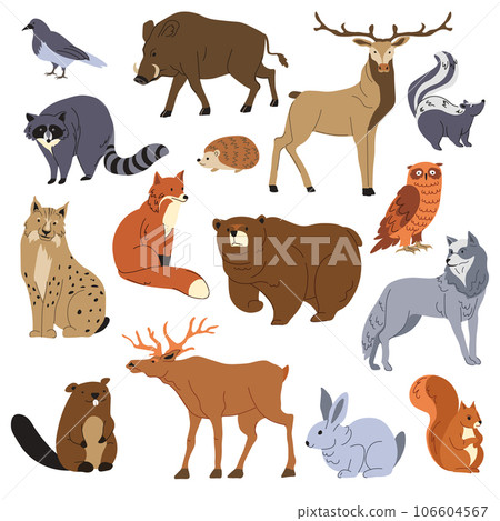 Forest animals, raccoon and fox, bear and deer Forest animals, raccoon and fox, bear and deer 106604567