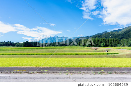 Rural countryside Rural countryside 106604989