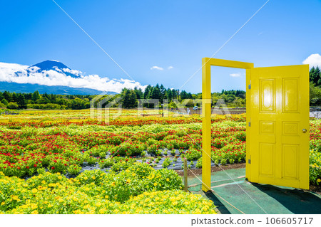 本栖湖度假村彩虹花節 106605717