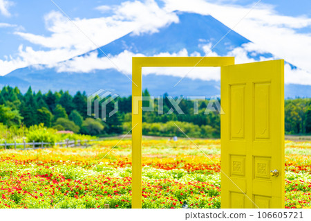 本栖湖度假村彩虹花節 106605721