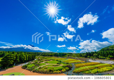 Rainbow Flower Festival at Lake Motosu Resort 106605801