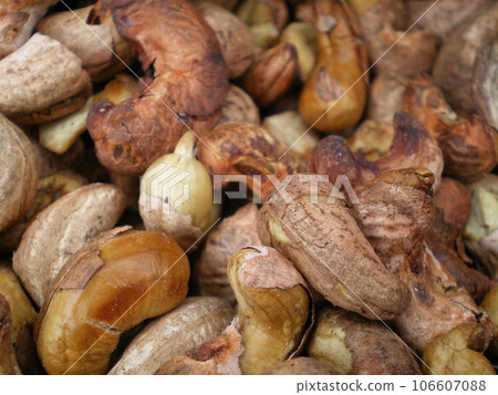 mozambican cashew nuts 106607088