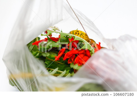 DEFOCUS. Environment and plastic. Red and green plants flowers in a plastic bag on a white background. Ecological problems. Out of focus 106607180